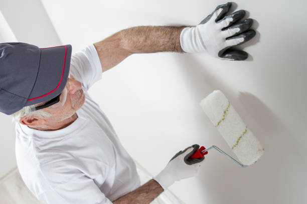 Best Basement Mold Removal  in Montgomery, IN
