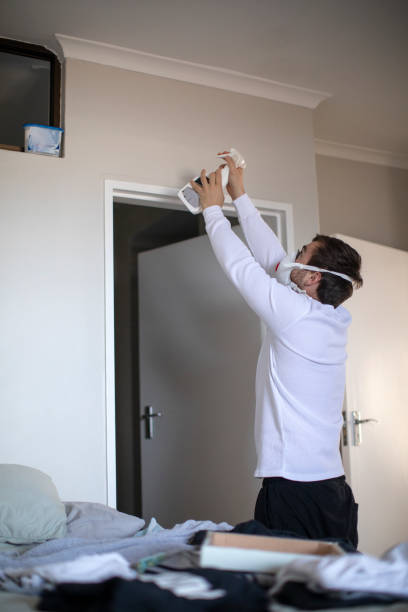 Best Dehumidification Services  in Montgomery, IN