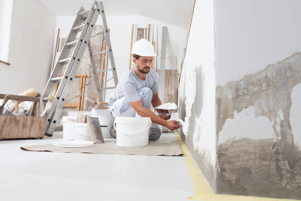 Best Commercial Mold Inspection  in Montgomery, IN