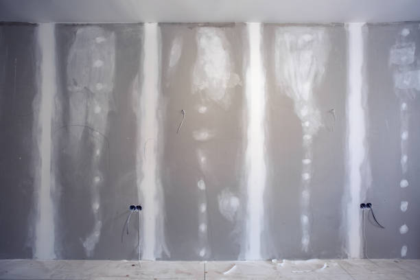 Trusted Montgomery, IN Mold Removal Experts